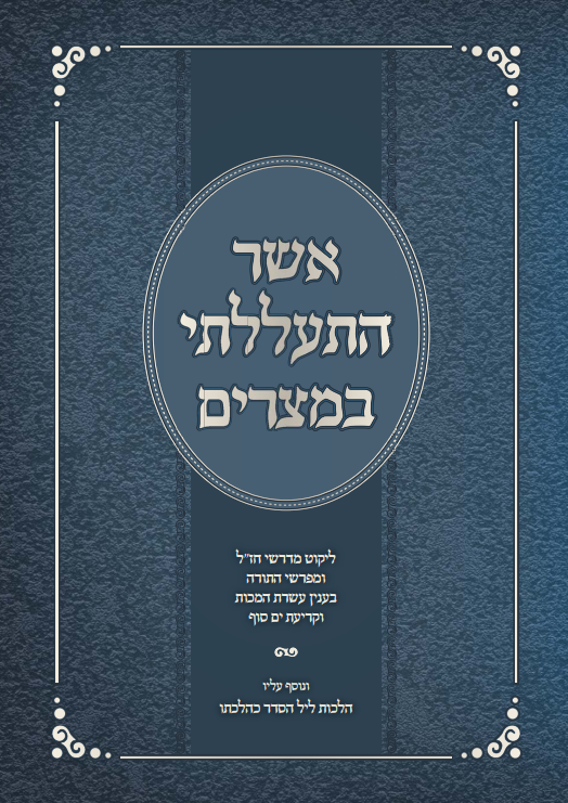 הדמיה (3)