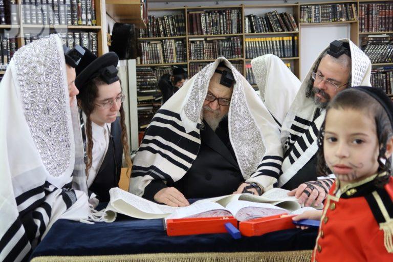 טעמעשוואר קריאת המגילה (6)