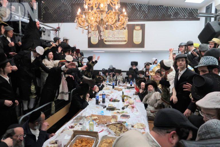 לעלוב בראנוביץ משתה היין (3)