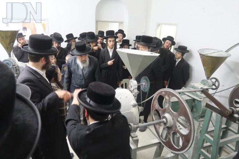 לעלוב טחינת חיטים (4)
