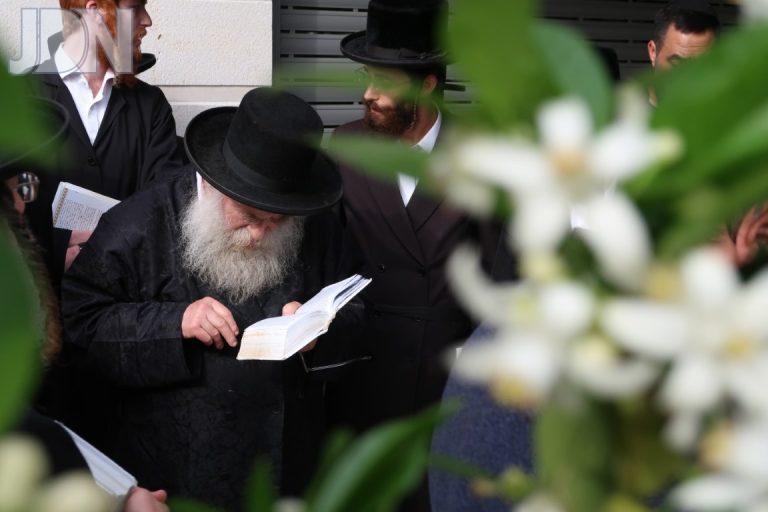 מאקאווא ברכת האילנות (3)