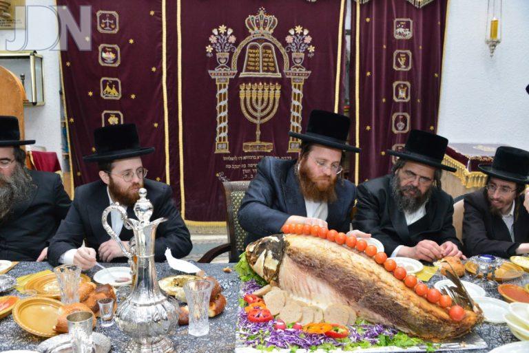 נעשכיז הילולא פג (9)