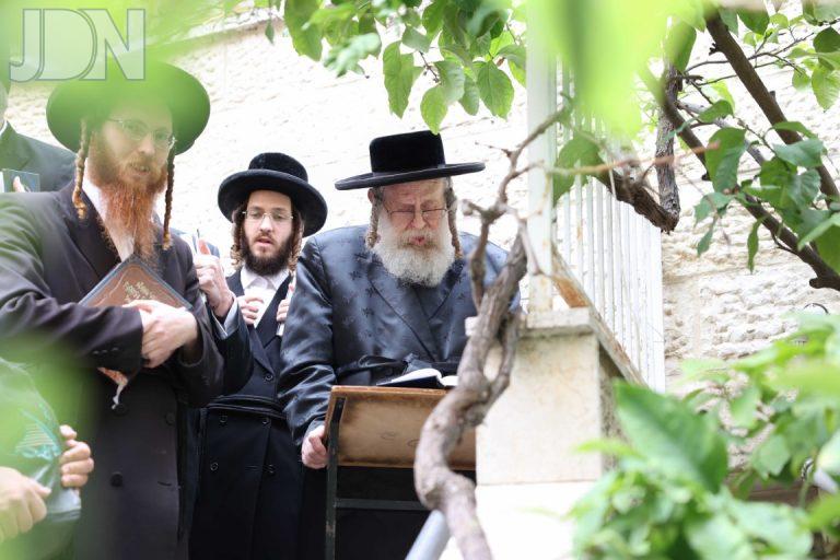 קאמארנא ר''ח ניסן ברכת האילנות (6)