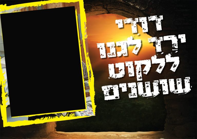 תמונה של WhatsApp‏ 2023-03-26 בשעה 16.31