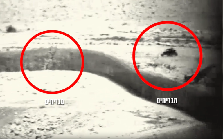 ‏‏לכידה