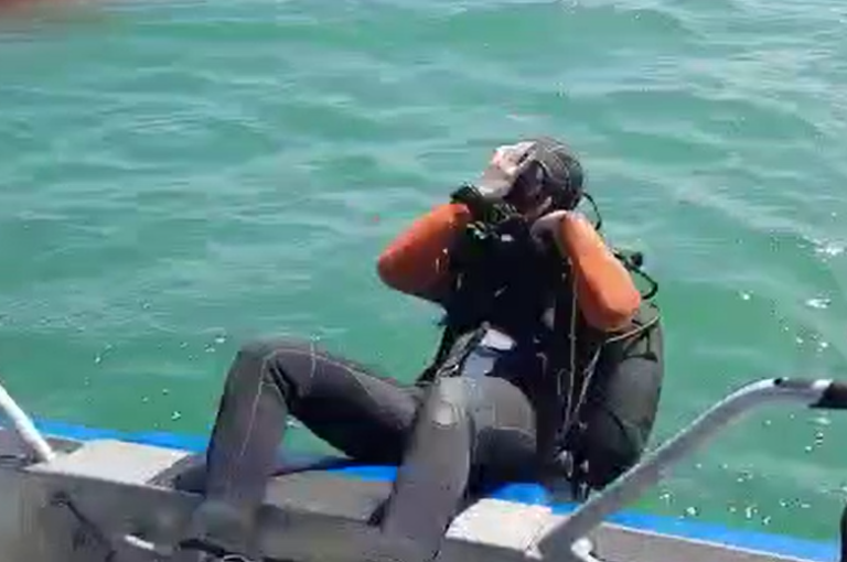 ‏‏לכידה