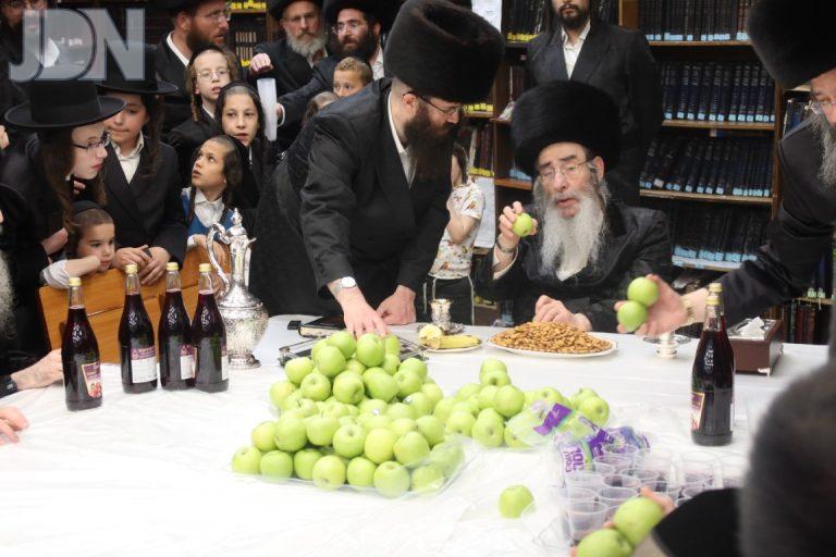 אלכסנדר טיש חוהמ''פ (2)