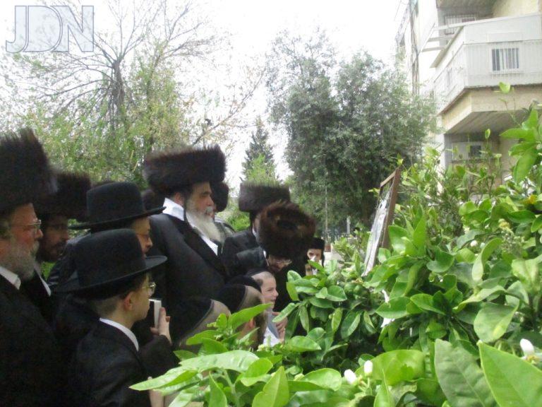 ברעזאן פסח פג (1)