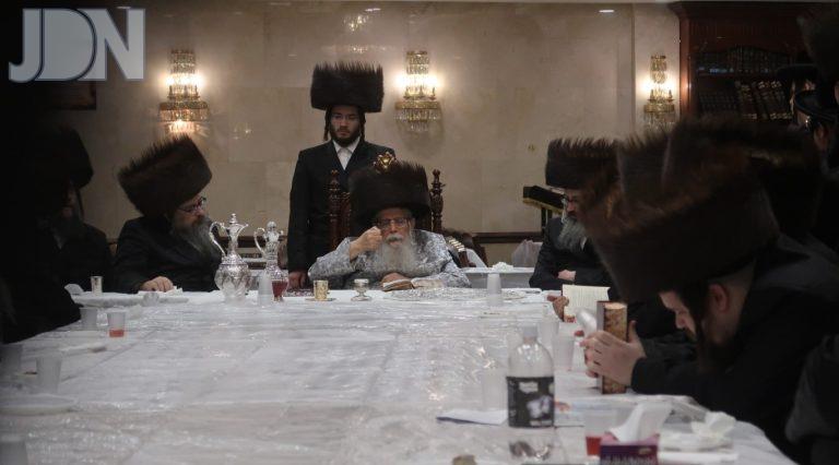 דינוב פסח (5)