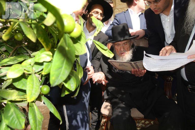 הגרב''מ אזרחי ברכת האילנות (3)