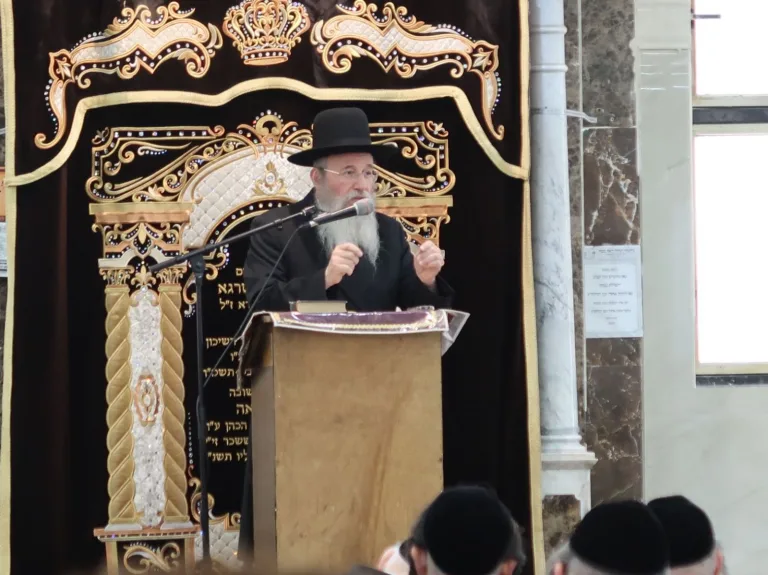 הגרי''י בלינוב שיעור בסאטמאר (9)