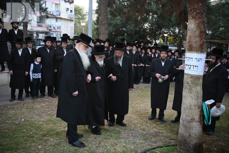 ויז'ניץ מים שלנו (3)