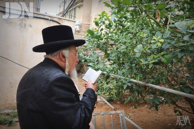 זאלזיץ ברכת האילנות וטחינת חיטים (6)