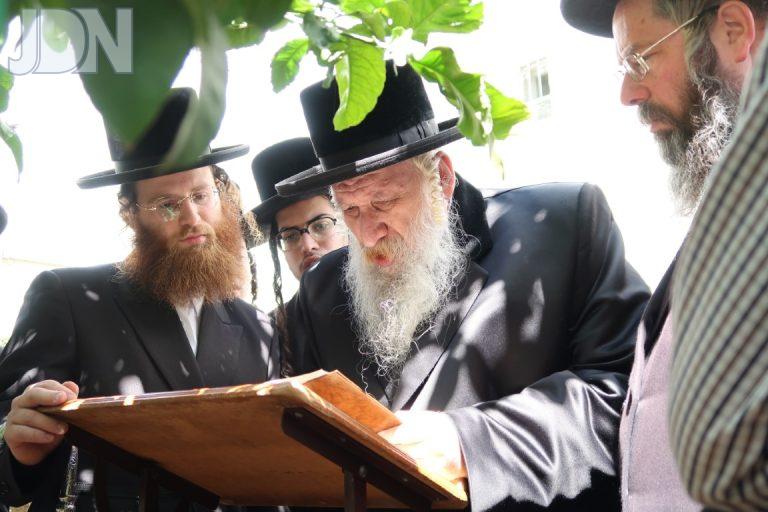 טשארנאביל ברכת האילנות (2)