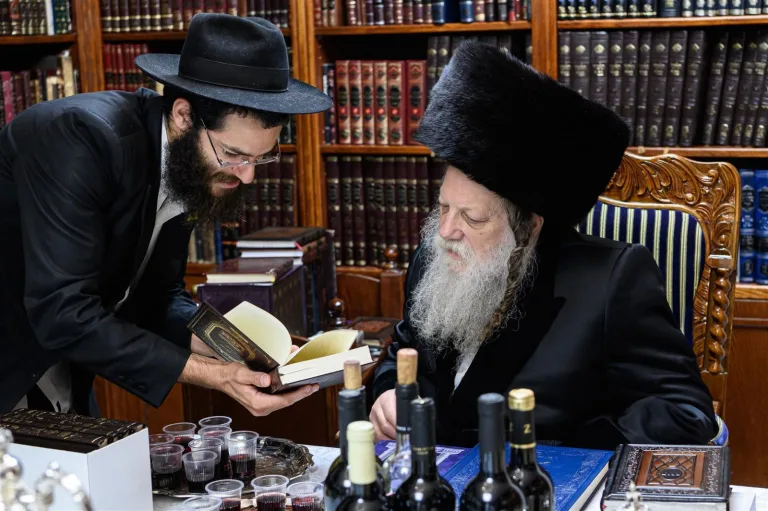 יפוצו אצל אדמורים פסח פג (8)