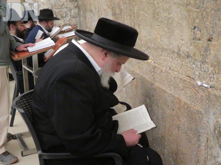 לעלוב בית שמש בכותל המערבי (5)