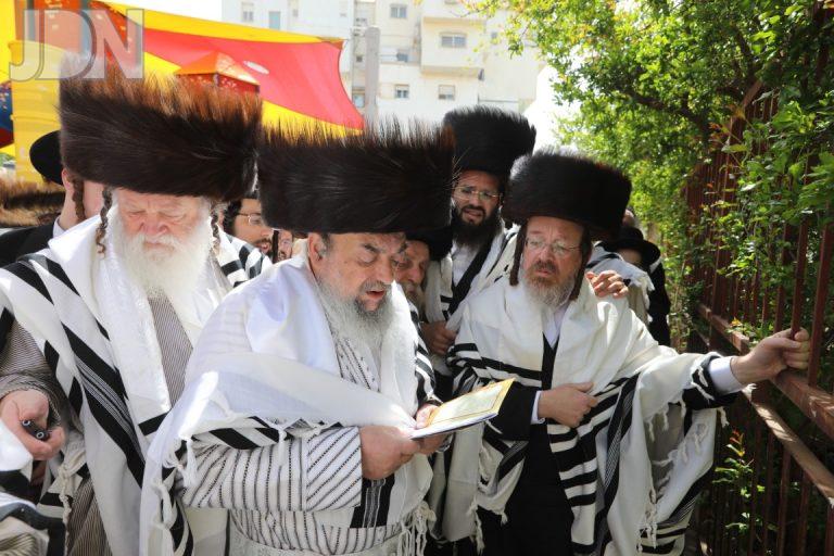 לעלוב ברכת האילנות (5)