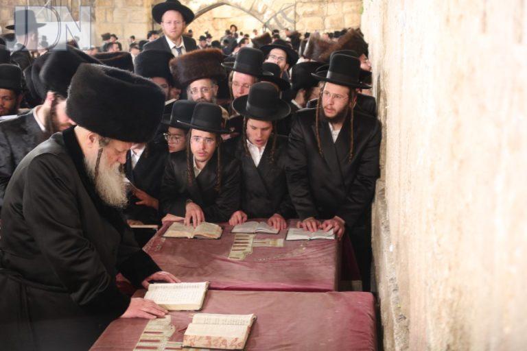 מודז'יץ בכותל המערבי (6)