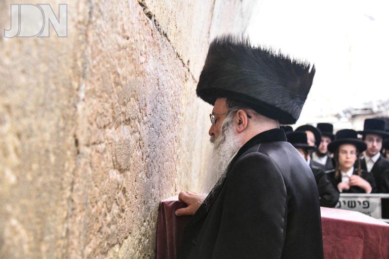 נדבורנה בכותל המערבי (10)