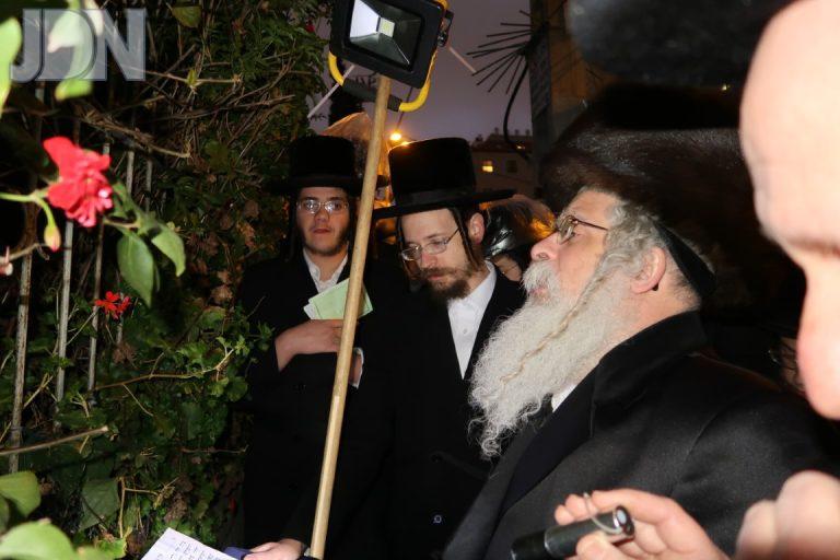נדבורנה ירושלים ברכת האילנות פג (6)