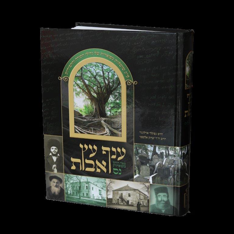 ענף עץ אבות