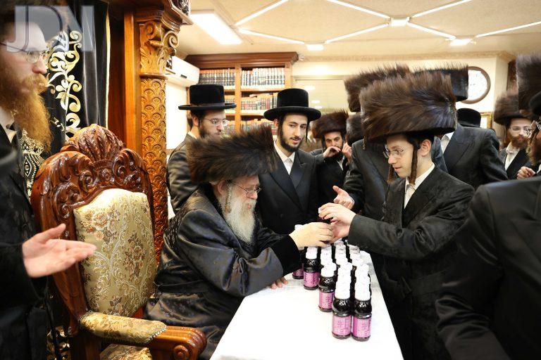 קאמארנא הקבלת פני רבו (16)