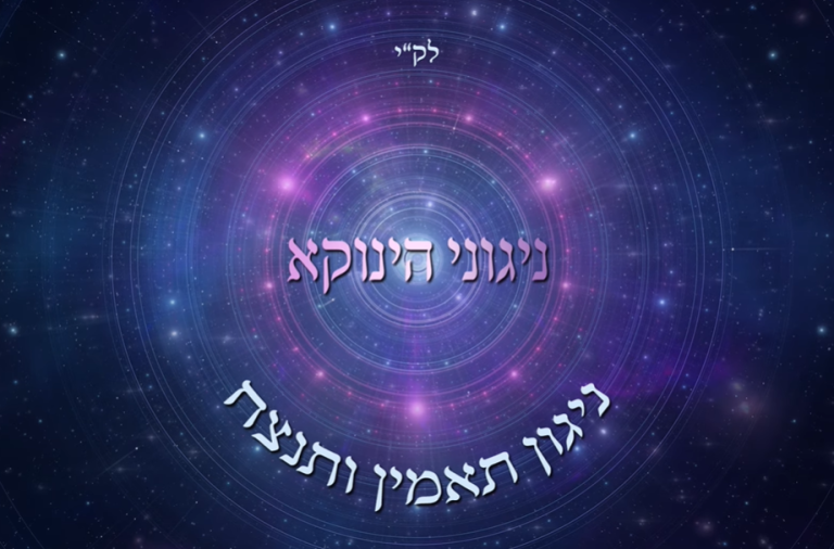 ‏‏לכידה
