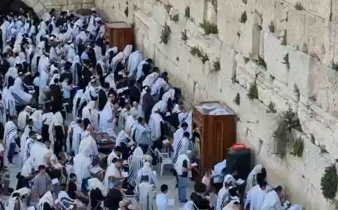 ‏‏לכידה