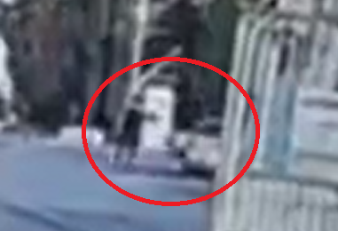 ‏‏לכידה