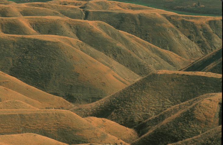 sand dunes in the Jordan Valley
