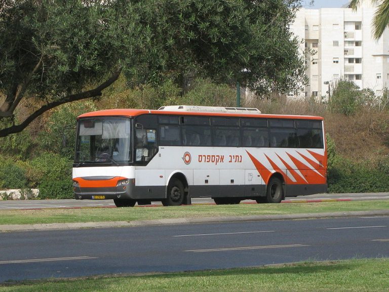 Nativ_Ekspres_8229015_201311