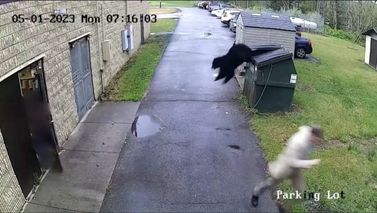 WhatsApp Image 2023-05-03 at 22.09