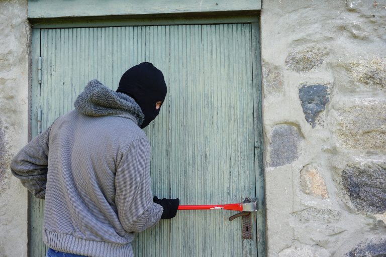 thief-g0dce22580_1920