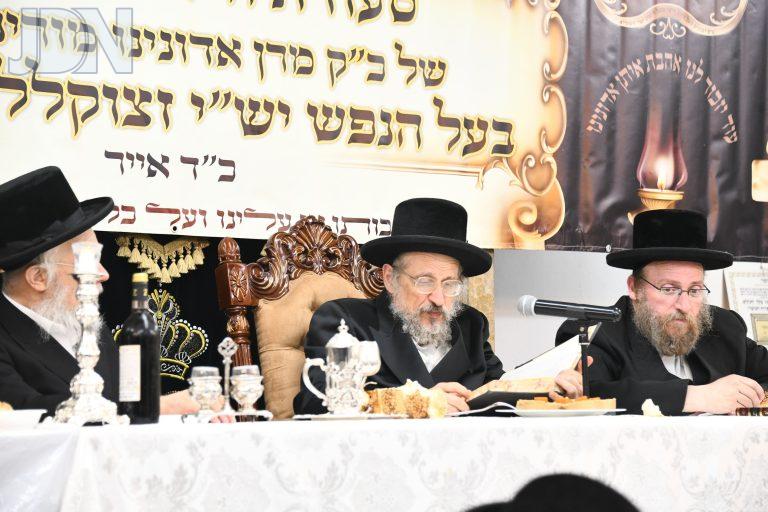 אנטניא הילולת הנפש יש''י (9)