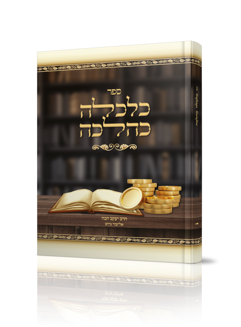 הדמיה (16)
