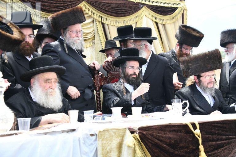זוועהיל במירון (37)