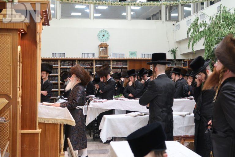 נדבורנה ירושלים שבועות פג (4)