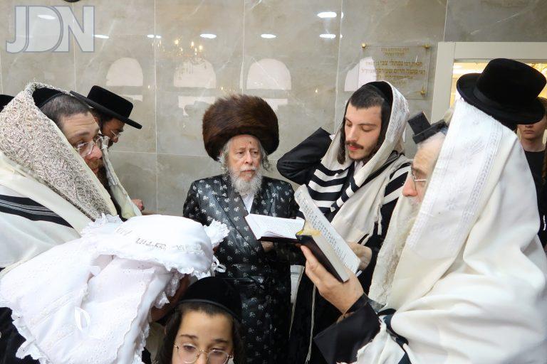 סטראפקוב ברית לנין (9)