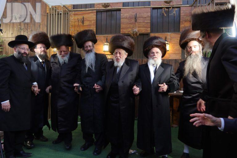 קאפיטשניץ חתונה (9)
