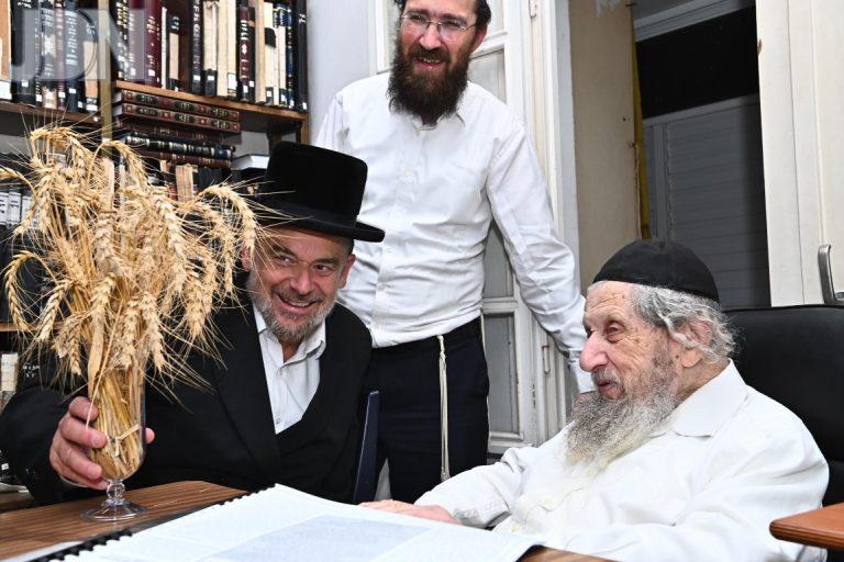 קורניצר קצירת חיטים אצל גדולי ישראל (17)