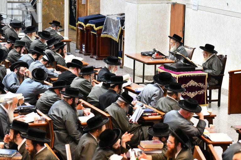 תולדות אהרן יום שכולו תורה (3)