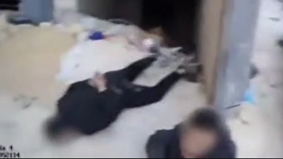 ‏‏לכידה