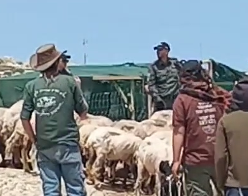 ‏‏לכידה