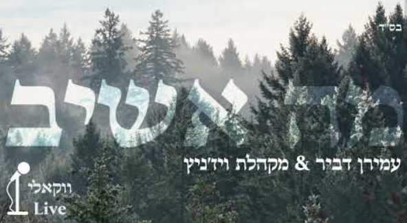 ‏‏לכידה
