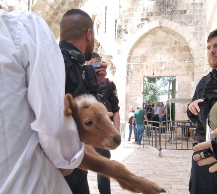 ‏‏לכידה