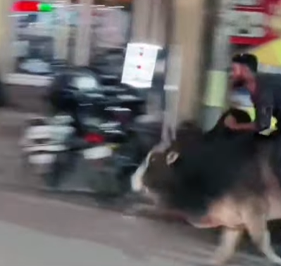 ‏‏לכידה