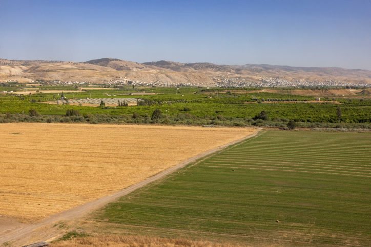 JORDAN VALLEY
