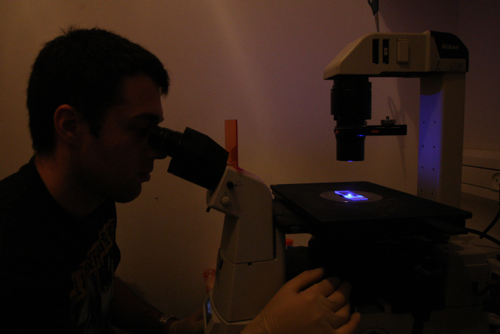 YOUNG ISRAELI CANCER RESEARCH