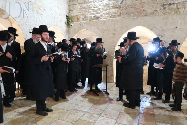 לעלוב צפניה קבר דוד המלך (7)
