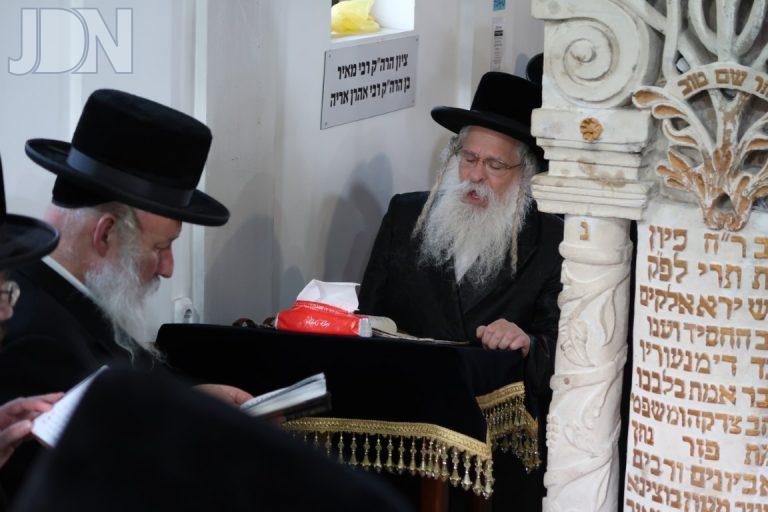 נדבורנה ירושלים קברי צדיקים אירופה (8)